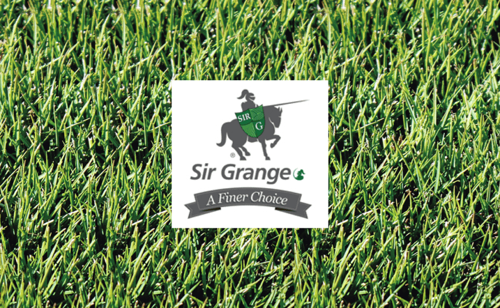 What's the best turf? Review Sir Grange Zoysia.