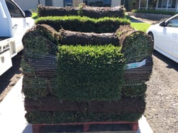 Turf rolls delivered with a depth of soil