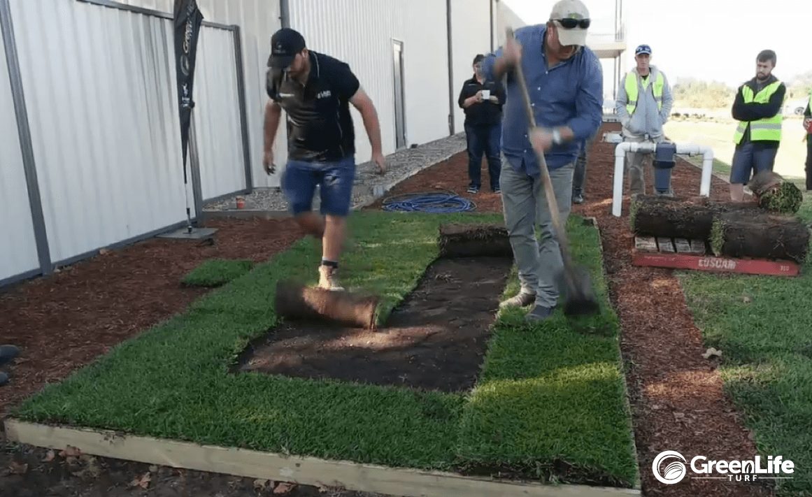 GLT Laying New Lawn w Jason Hodges-min