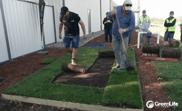 How to Lay New Turf - Green Life Turf Demonstration with Jason Hodges