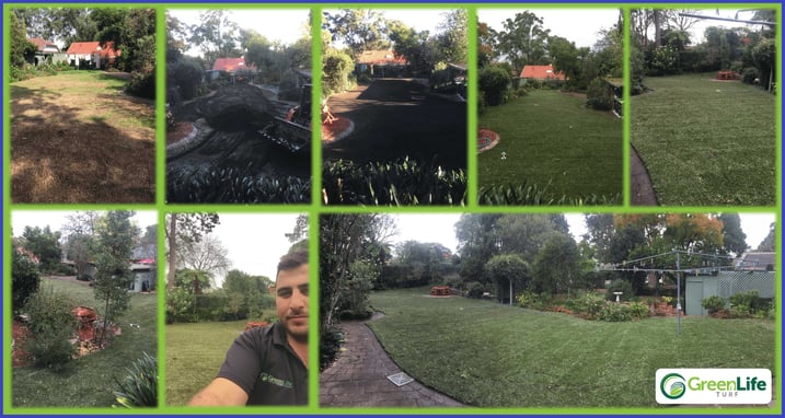 Laying_Turf_Before_After.jpg