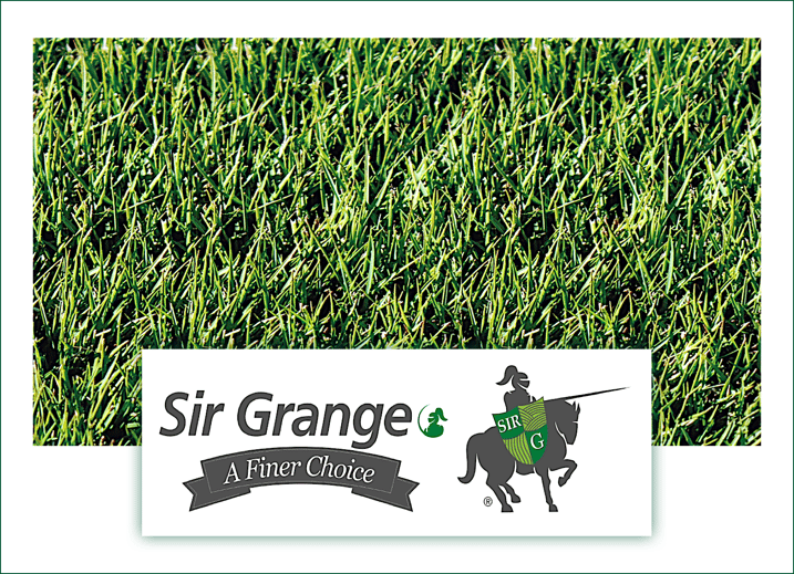 Sir Grange Zoysia Grass & Logo
