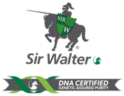 Sir_Walter_DNA_Certified_The_Best_Lawn.png