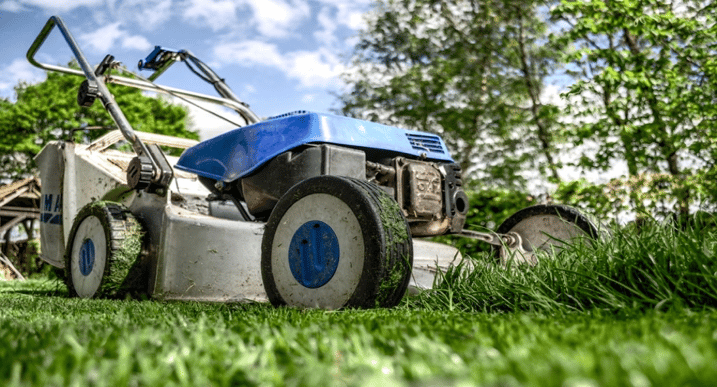 Spring_Lawn_Care_Tips_Blog.png
