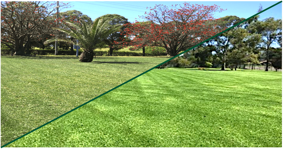 On The Farm TifTuf Bermuda & Eureka Kikuyu Hero v5