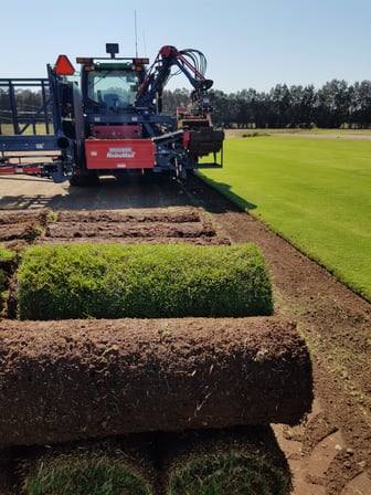 Harvesting Turf Rolls on the Green Life Turf Farm