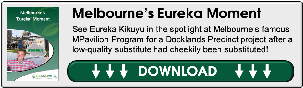 Eureka Kikuyu at Melbourne's MPavillion Program for a Docklands Precinct Project