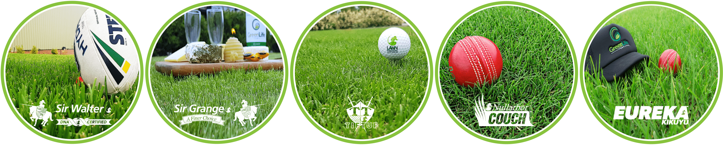 Turf Varieties | DNA Certified Sir Walter Buffalo, Sir Grange Zoysia, TifTuf Bermuda, Nullarbor Couch, Eureka Kikuyu