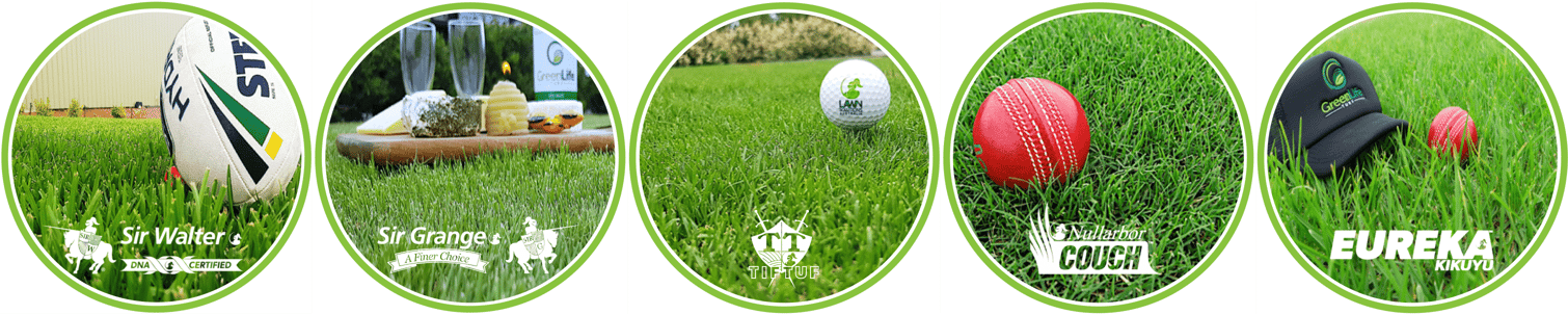 Turf Names 10 Tips to Choosing the Right Turf Supplier