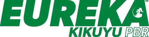 Eureka_Kikuyu-PBR_Logo[1][1]-1