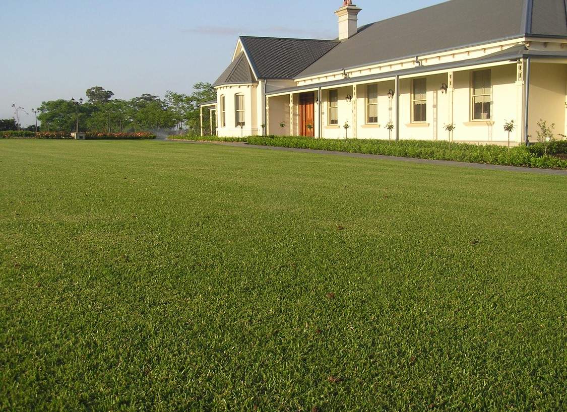 Farm Turf Photo comprssed-3