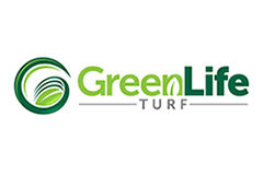 Our Company