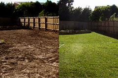 Before and After