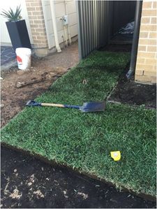 Bullseye Turf  Turf Laying Process Green Life Turfs patented Bullseye Instant Grass turf laid perfectly for your area with thick organic soil and fully established turf
