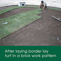 After laying your turf border lay turf to the rest of your area in a brick work pattern