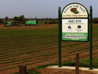 Our Green Life Turf Farm | Sir Walter DNA Certified Buffalo, Eureka Kikuyu, Nullarbor Couch, Platinum Zoysia grasses