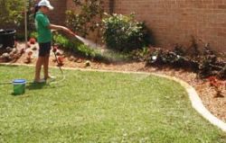 Turf Laying & Preparation - Watering Newly Laid Turf