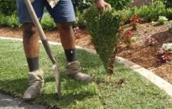 We lay your turf beautifully and professionally