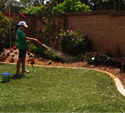 Watering Newly Laid Turf