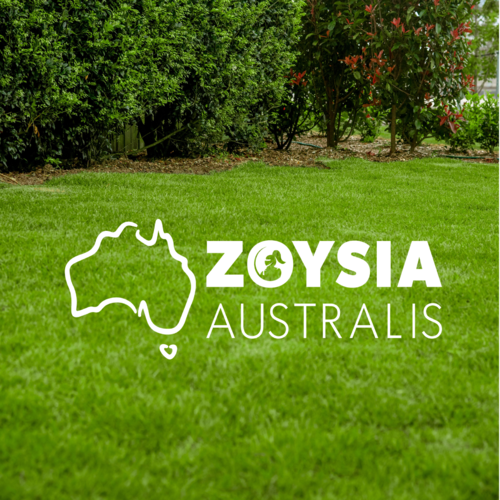 Australis, Lawn solutions, turf, Zoysia Australis