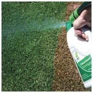 ColourGuard by Lawn Solutions Australia (LSA)