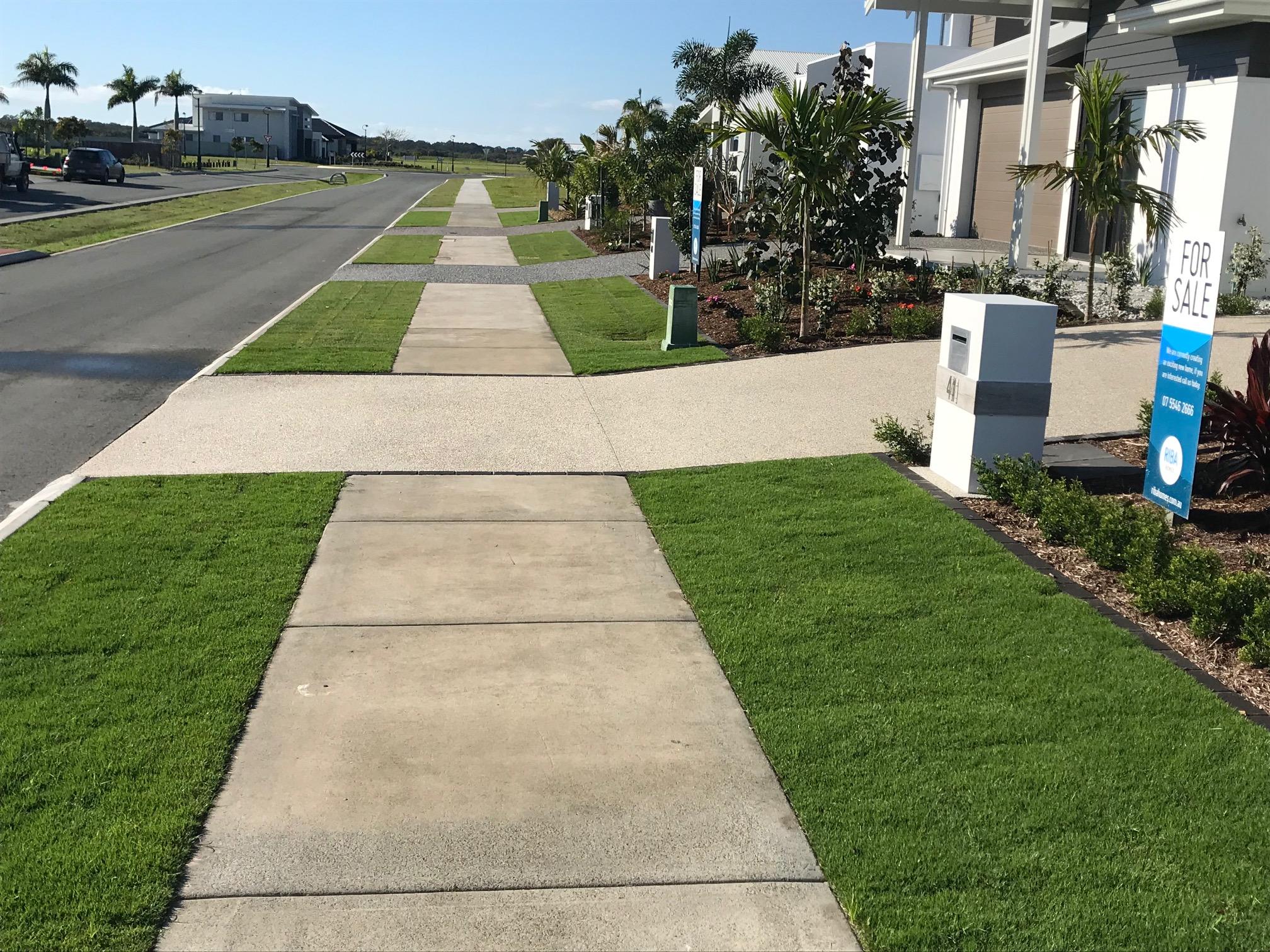 Sir Grange Landscape, Sir Grange Zoysia