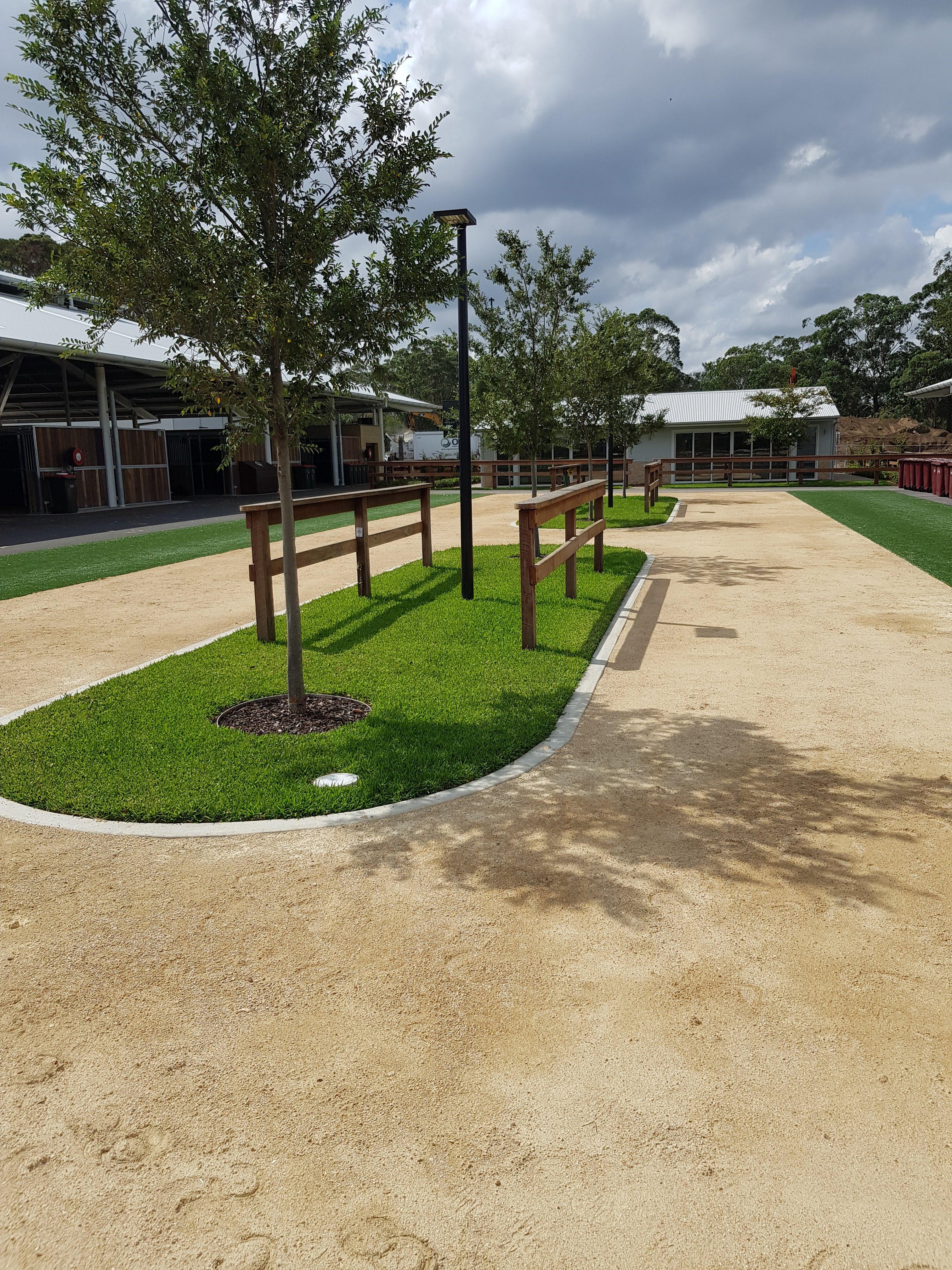Sir Walter - SW Turf Variety WP - trade job