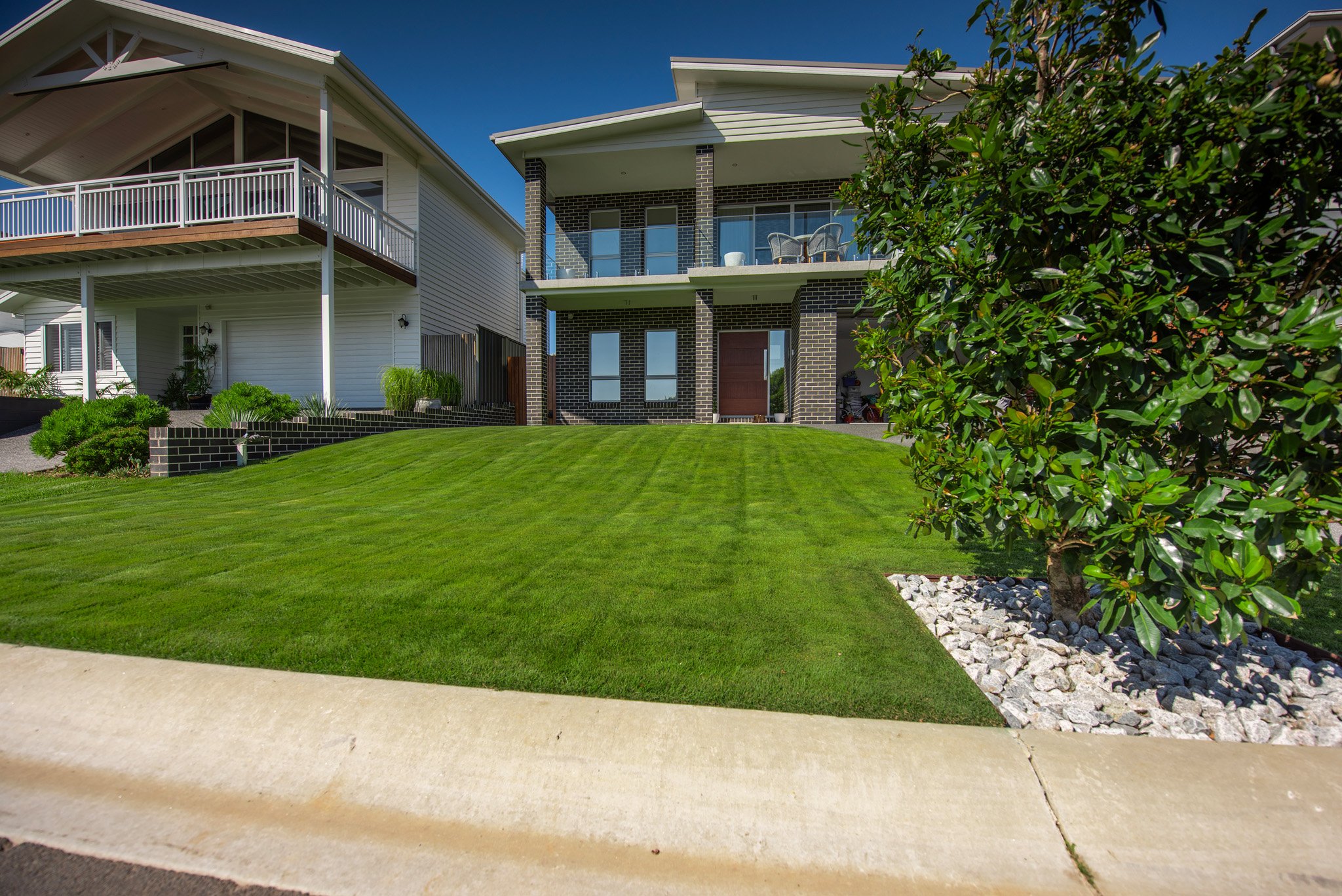 Sir Grange, Sir Grange Zoysia