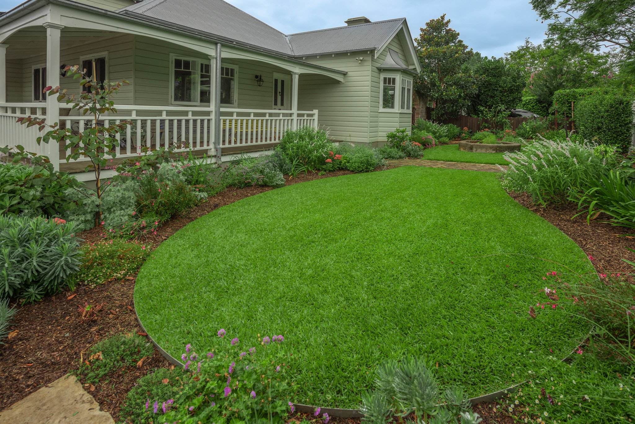 Sir Walter, Sir Walter DNA Certified Buffalo Lawn, Pet and Family Friendly 