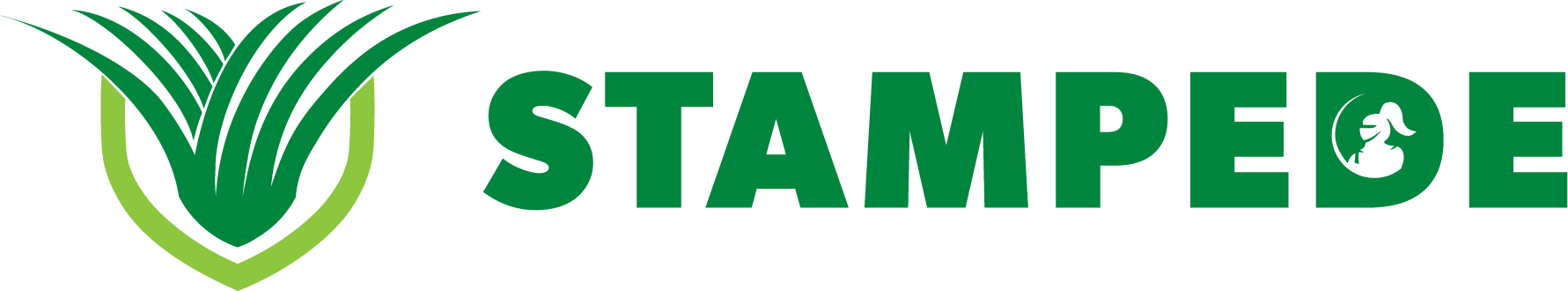 Stampede-Landscape-COLOUR (2)