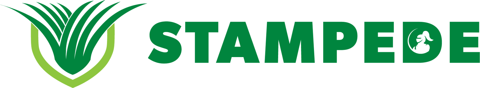 Stampede-Landscape-COLOUR