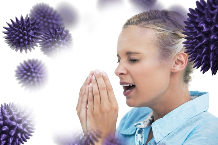 Which grasses trigger hay fever?