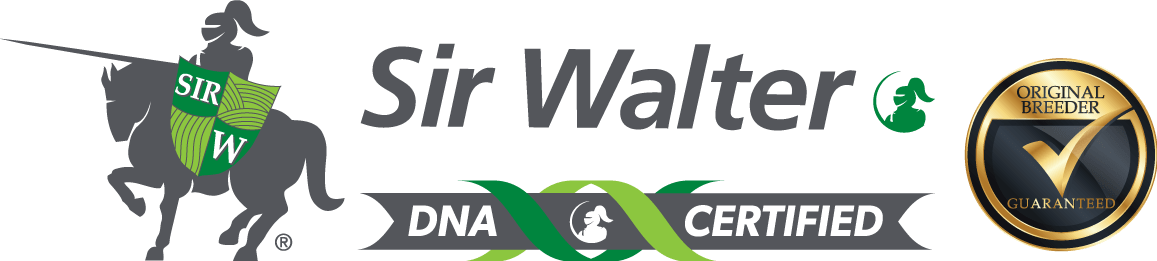 SirWalter-DNA_OB_Landscape-min