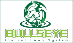 Link Bullseye-min.png