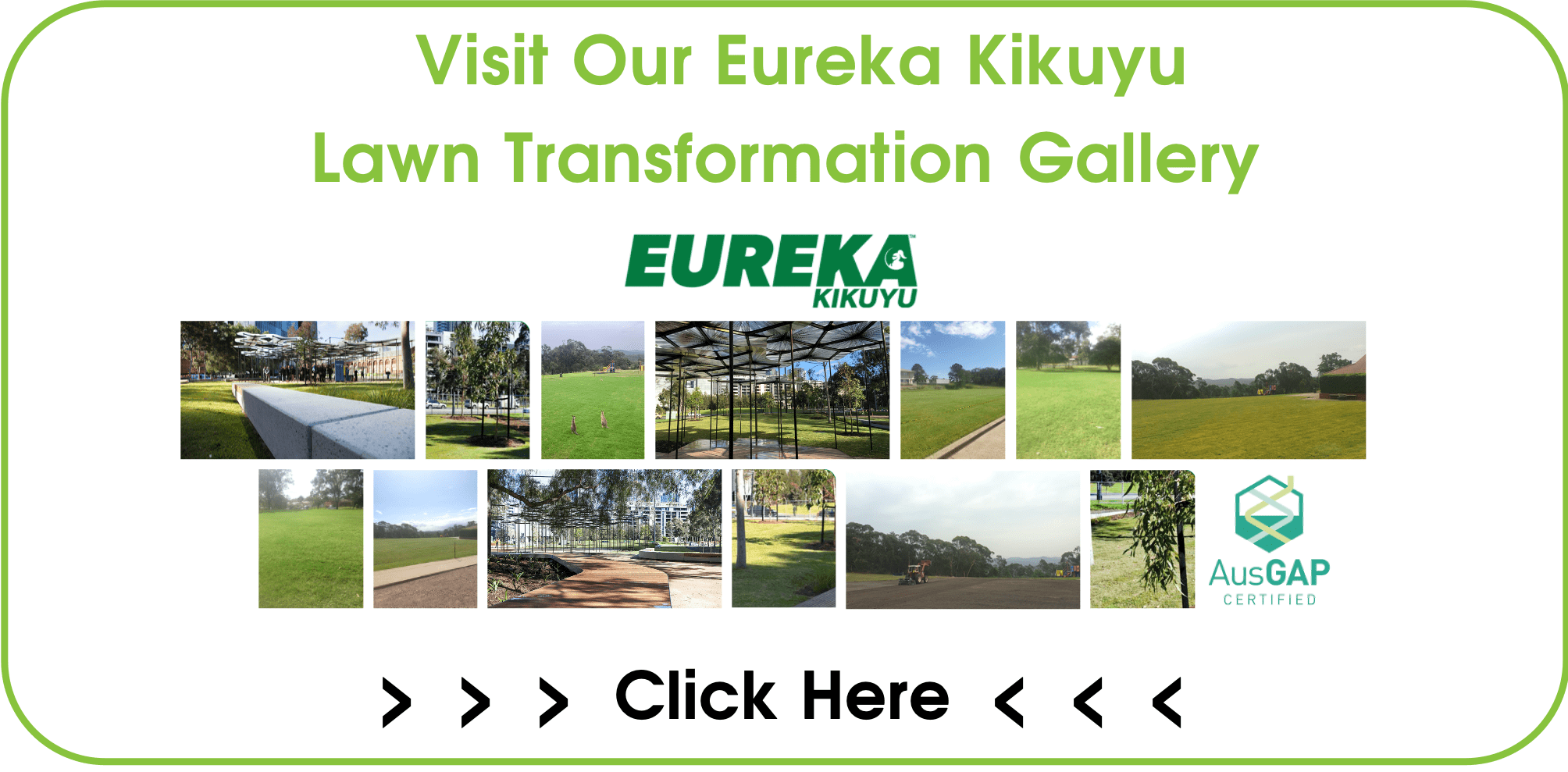 CTA Eureka Kikuyu Lawn Transformation Gallery Page-min