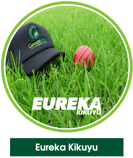 Eureka Kikuyu Grass