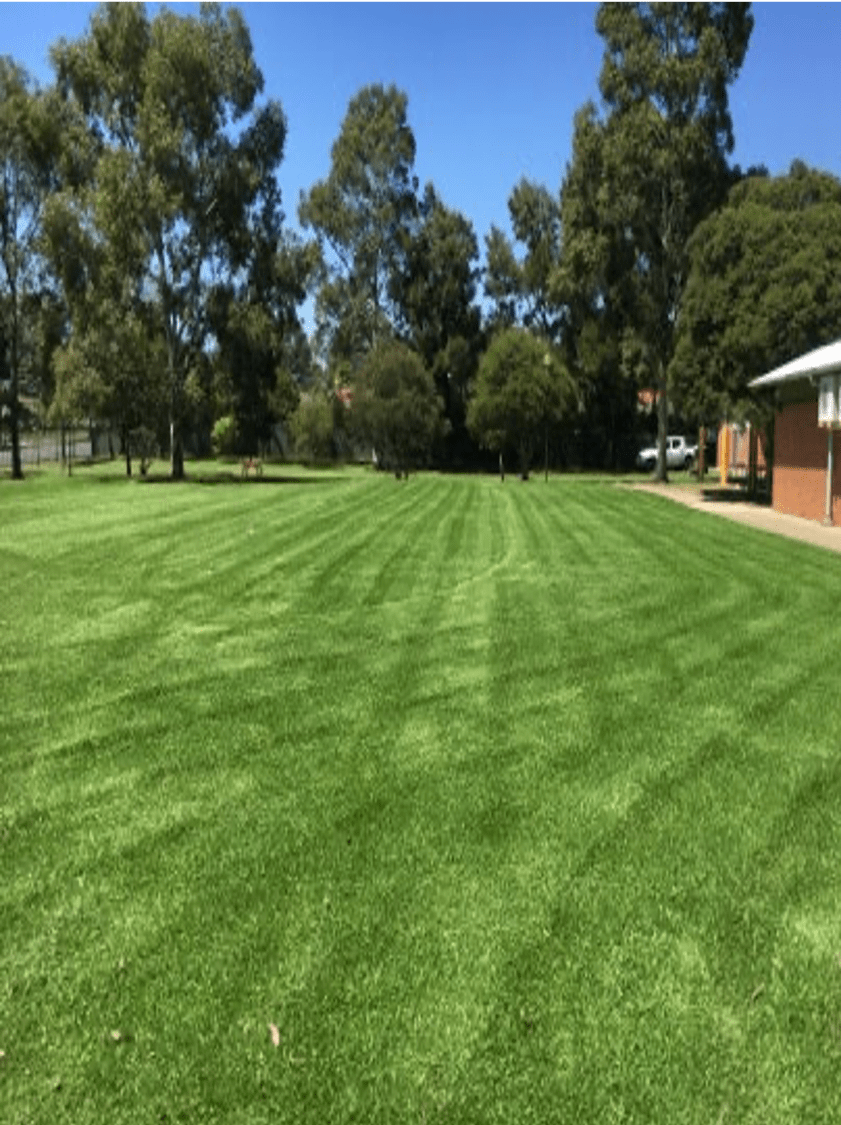 Eureka Kikuyu Grass - a Great Commercial Lawn - Turf & Grass Supply & Installation Sydney & NSW