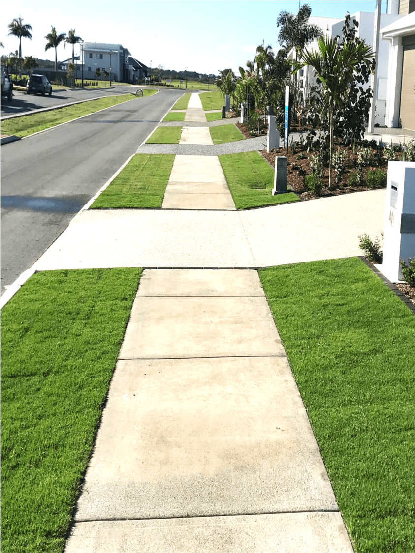 Sir Grange Zoysia Grass - perfect road verge street appeal Sir Grange Zoysia Grass - perfect road verge street appeal