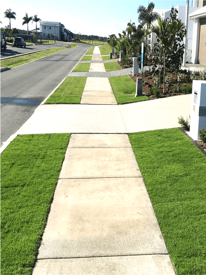 Sir Grange Zoysia Grass - perfect road verge street appeal