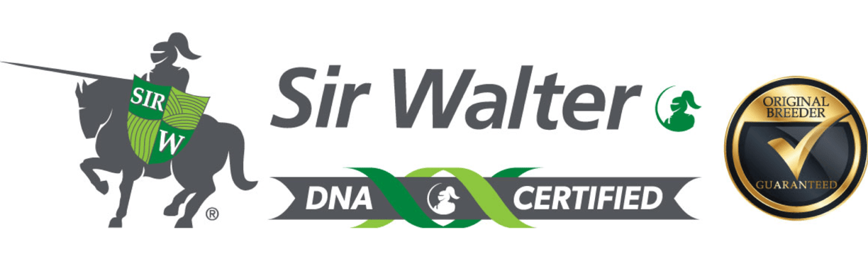 DNA Certified Sir Walter Buffalo Grass Logo