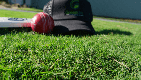 TifTuf Bermuda Grass
