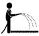 Watering requirements for DNA Certified Sir Walter Buffalo