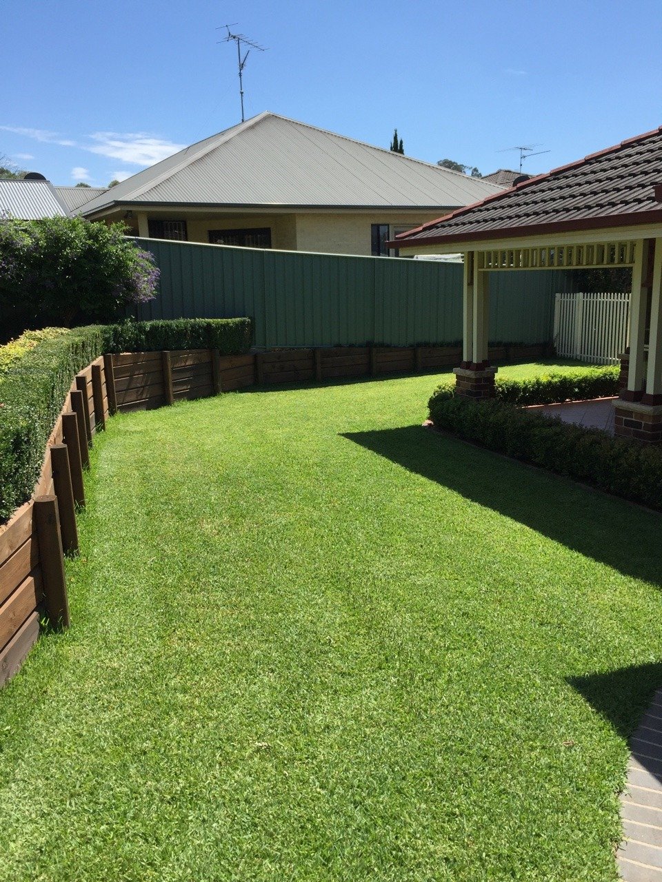 Harrington Park, Sir Walter, Sir Walter DNA Certified, Best Buffalo, Preparation Sydney, Before & After, Home Lawn Transformation,