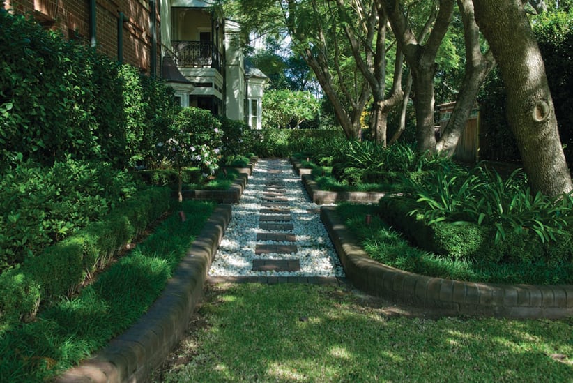 Blue Mountains Landscaping, best lawn for shade, shade Tolerant, Sir Walter, Sir Walter DNA Certified Buffalo, Get The Real Deal