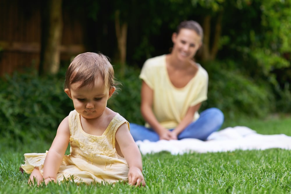 sir-walter-buffalo-kid-friendly-grass