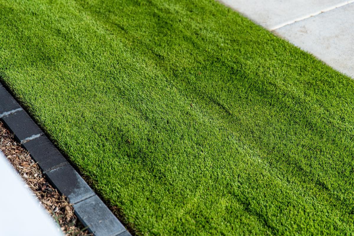zoysia-turf-grass-suppliers-australia