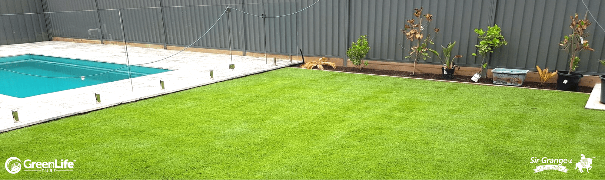 Sir Grange Zoysia Green Life Turf Australia S Best Turf