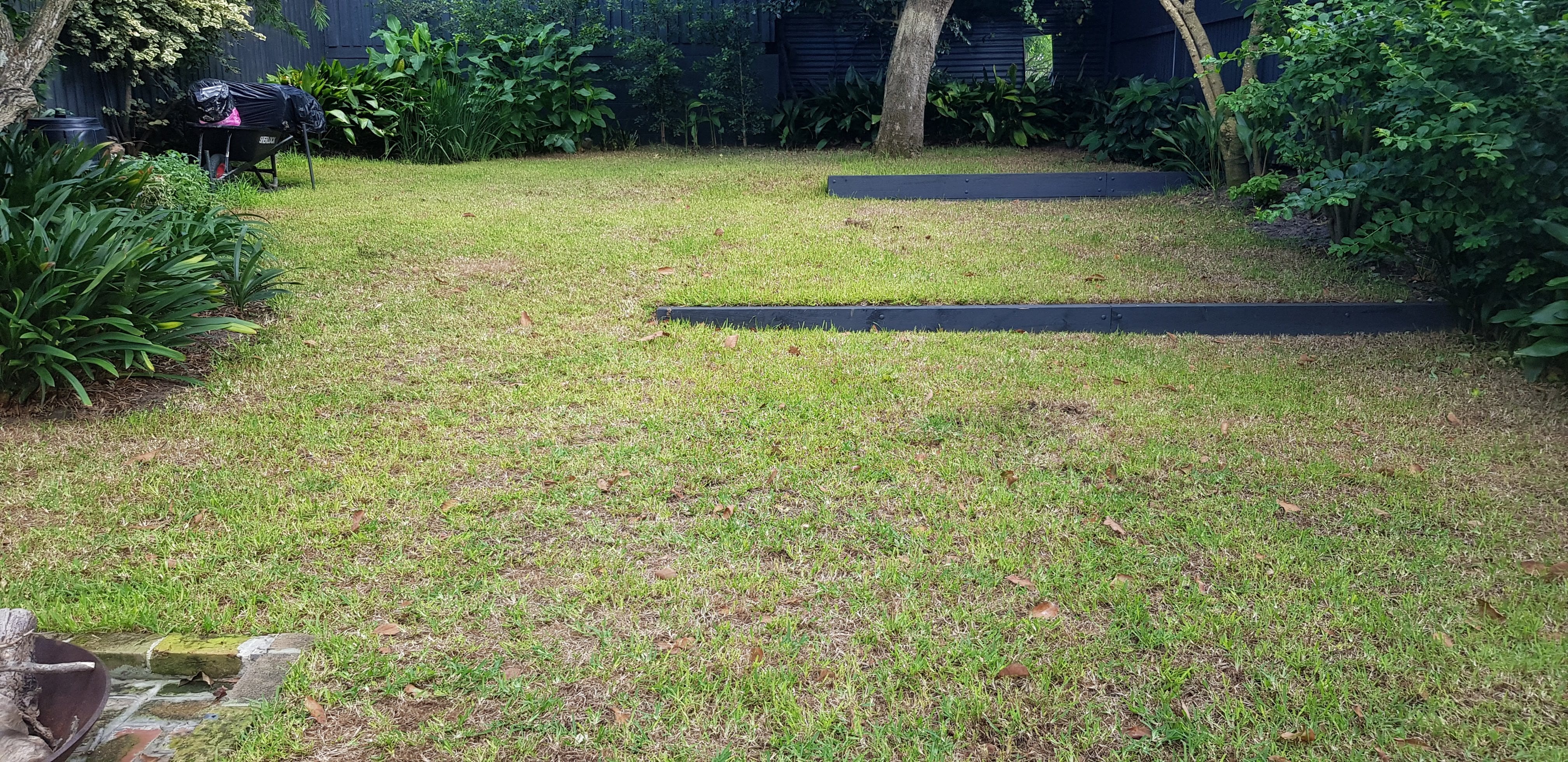 What Causes Bare Patches in Lawn | How to Repair Bare Patches in Lawn